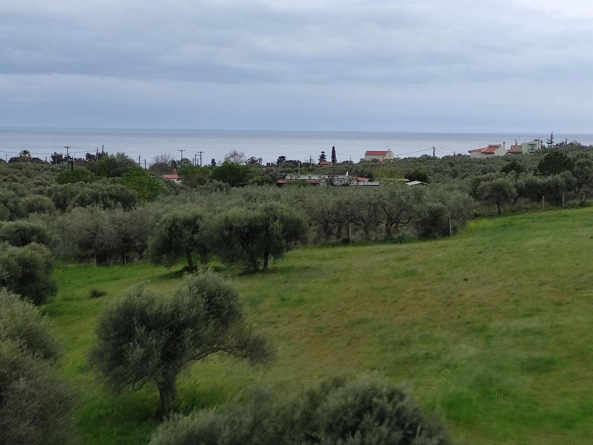 Villa Onari Aleksandropolis Zewnętrze zdjęcie